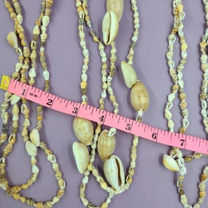 May include: Several strands of seashell necklaces in varying sizes and shapes, with a pink measuring tape across them. The shells are primarily cream and tan, with some darker brown accents. The measuring tape reads up to 7 inches.
