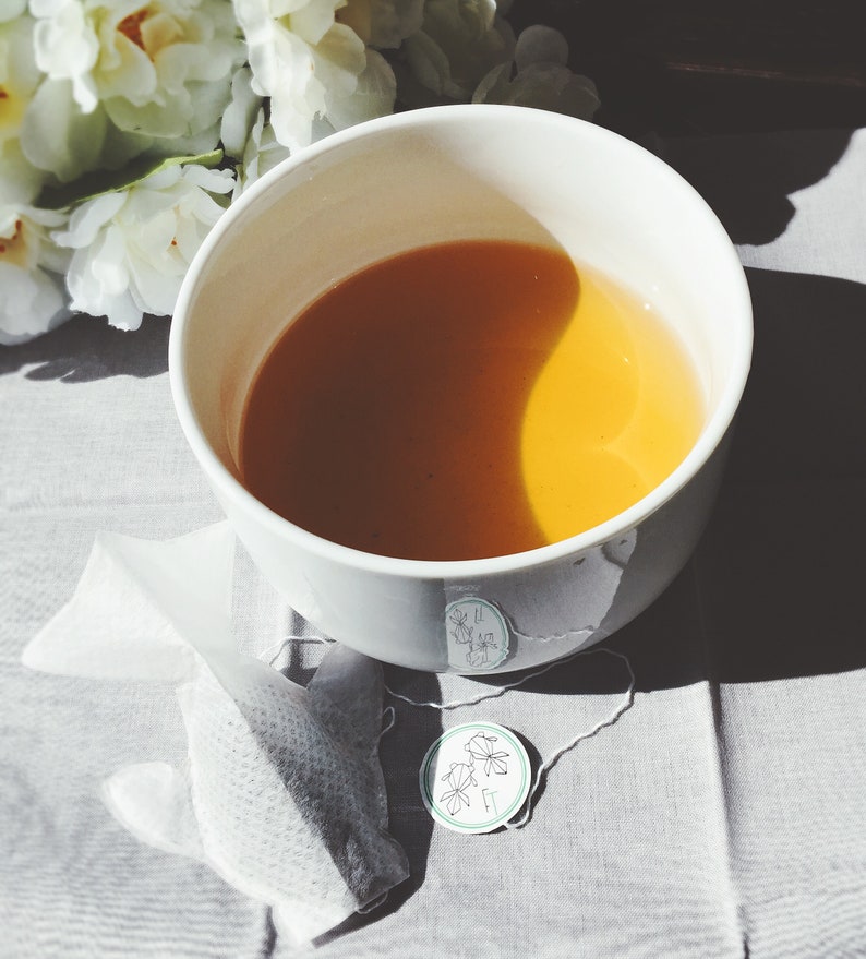 3D Fish Tea Bags Uniquely Handmade in EcoFriendly Pouch Etsy