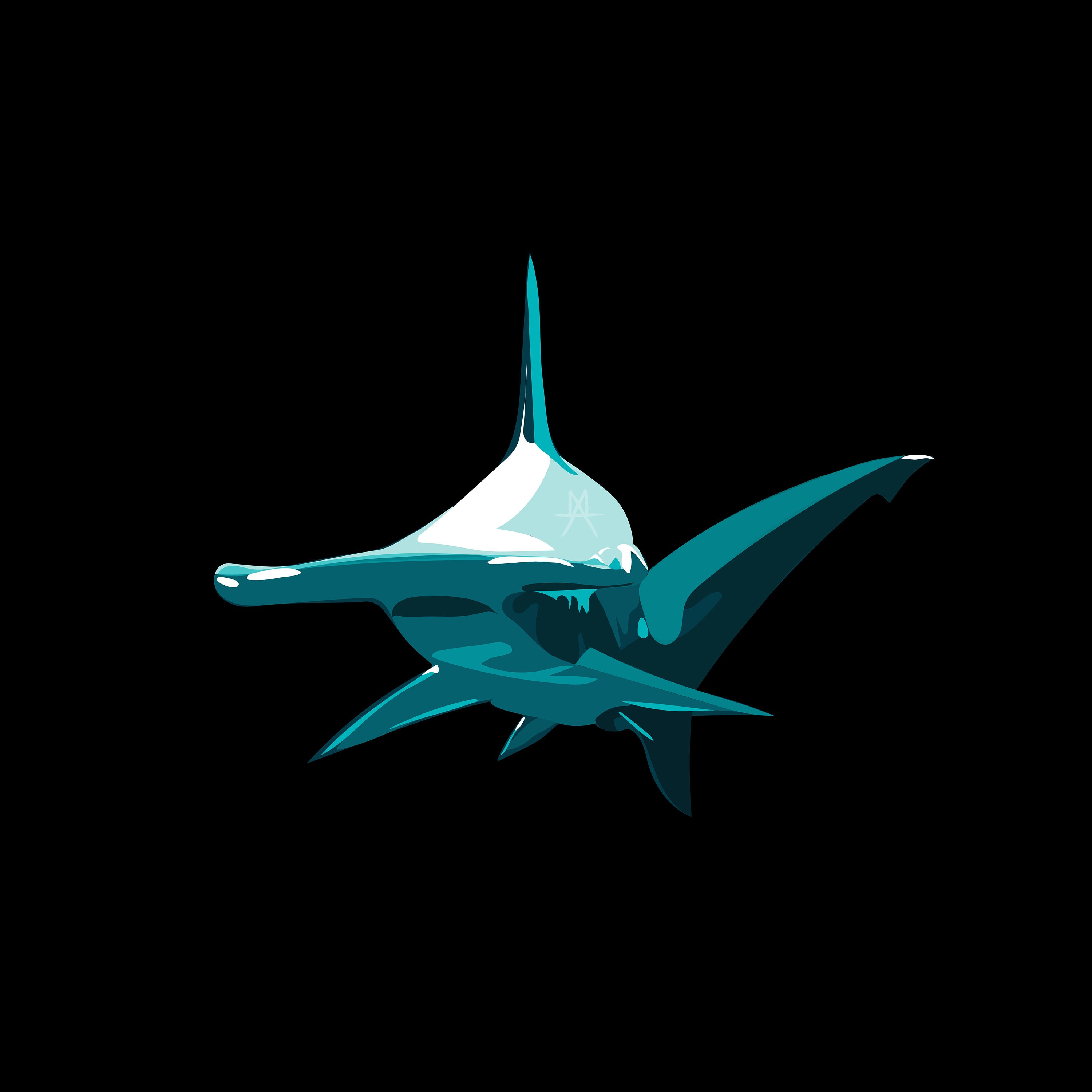 Free Free 138 Shark Svg Etsy SVG PNG EPS DXF File