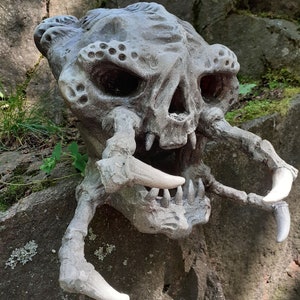 PREDATOR SKULL display  1:1 scale