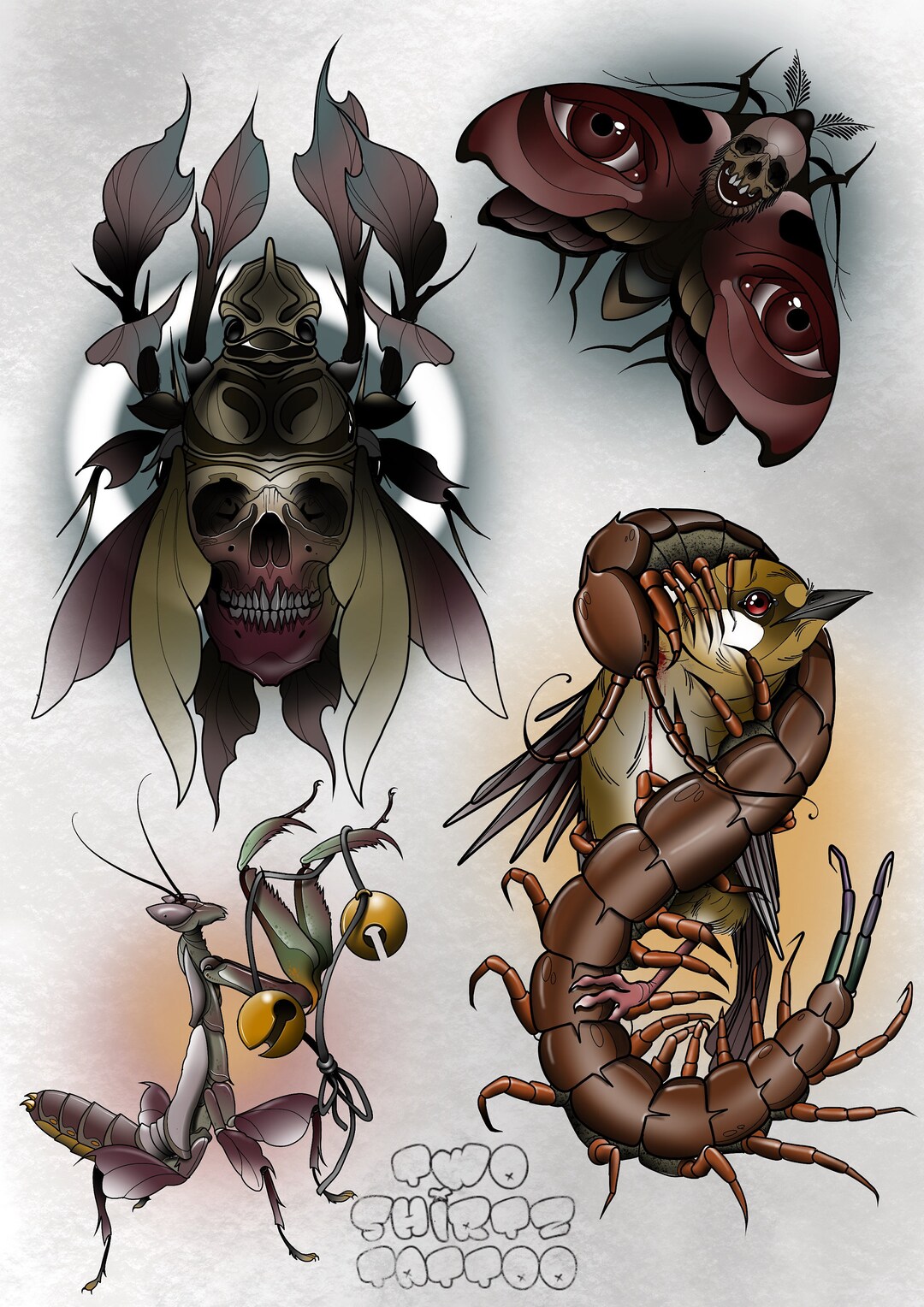 Insect Print - Etsy