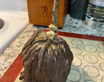 Halloween Witches Broom & Mummy Old Fashioned Caramel Candy Apples, Decadent Gourmet Caramel Chocolate Candy Apples