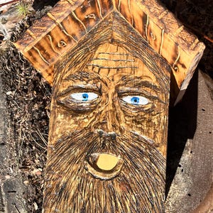 Carved wood spirit bird house bat house