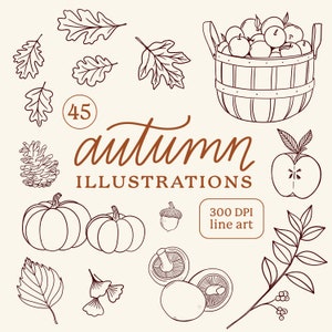 Autumn Illustrations Fall Harvest Line Drawings Clipart PNG Pumpkin Leaves Foliage Apple Picking DIY Thanksgiving Linework