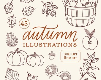 Autumn Illustrations Fall Harvest Line Drawings Clipart PNG Pumpkin Leaves Foliage Apple Picking DIY Thanksgiving Linework