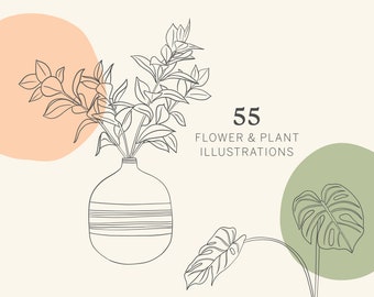 Flower Plant Line Art Botanical Clipart Hand Drawn Floral Leaves Leaf Succulent Potted Ceramic Garden PNG