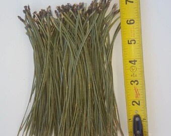 8oz Package - Ponderosa Pine Needles (Leaves)