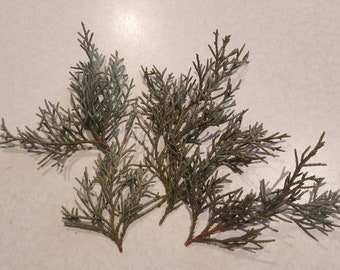 4oz Package - Juniper Needles (Leaves)