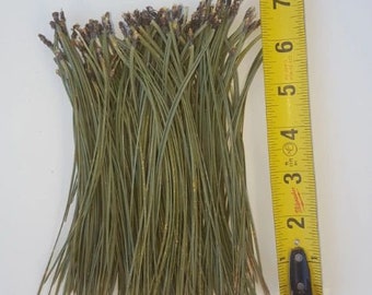 4 OZ Package - Ponderosa Pine Needles (Leaves)