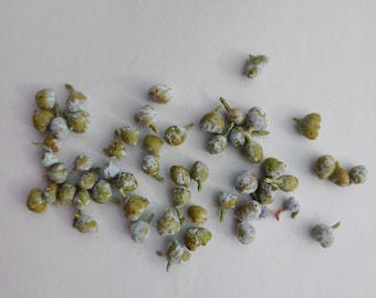 1 OZ Package - Juniper Berries (Cones)