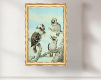 Vintage Kookaburra Art Print, Australian Bird Illustration, Wildlife Wall Art, Natural History Poster, Instant Digital Download, Christmas