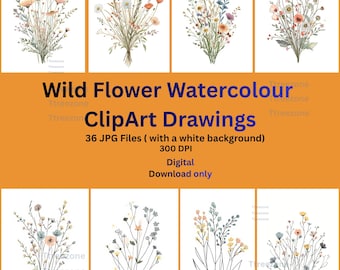 Paquete de imágenes prediseñadas de flores silvestres, flores estilo dibujo a mano, JPG, garabato de flores silvestres estilo cottagecore, conjunto de imágenes prediseñadas florales minimalistas, botánica caprichosa