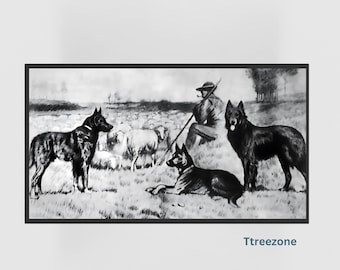 Vintage Belgian Shepherd Print: Man and Dogs, Countryside Scene (Digital Download)