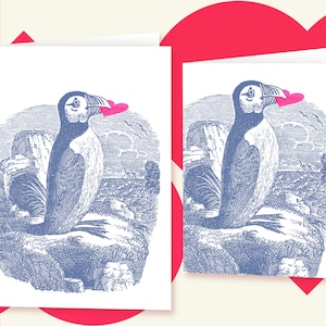 EXCELLENTS OISEAUX : Macareux moine • carte de voeux ou carte de correspondance