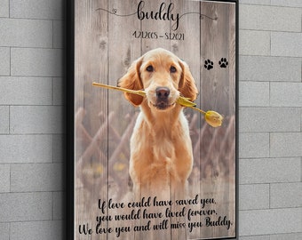 Pet Memorial Gift Passing Gift Pet Loss Frame Portrait Remembrance Gift Loss Of Dog In Memory Of Pet When Tomorrow Starts Without Me