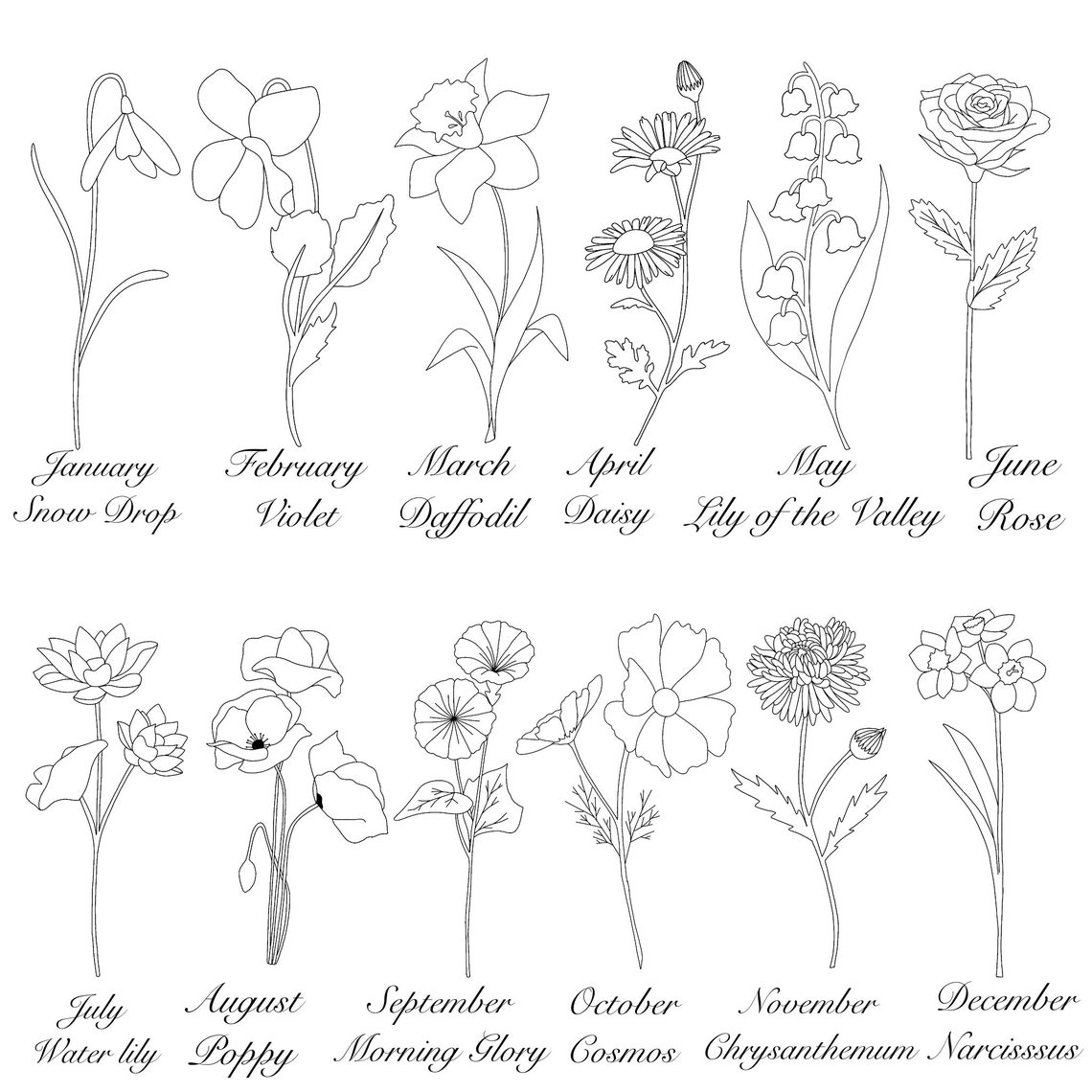 Bouquet of Birth Flowers Line Art personalized Birth Etsy Canada