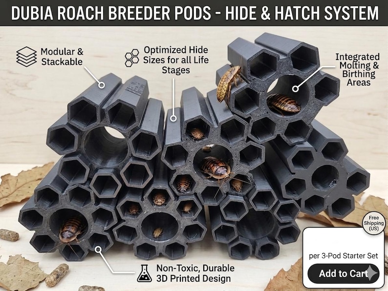 XL Dubia Roach Breeding Pods - Etsy