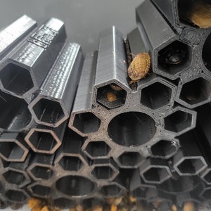 May include: A black plastic hexagonal tube with multiple compartments. The tube is designed to hold insects, such as roaches, for observation or breeding.