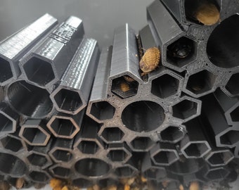 Curated visual reference: Curated Breeding Dubia Roaches With A Breeding Box Gallery View 47