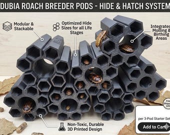 Dubia roach breeding pods