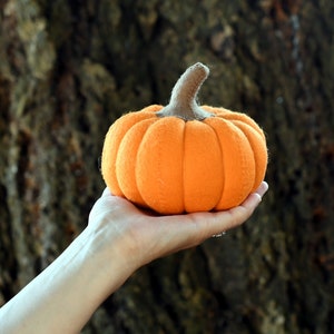 May include: A small, round, orange fabric pumpkin with a textured surface and a brown felt stem. The pumpkin features vertical stitched segments that create a ribbed appearance, mimicking the natural shape of a gourd in a soft, plush material.