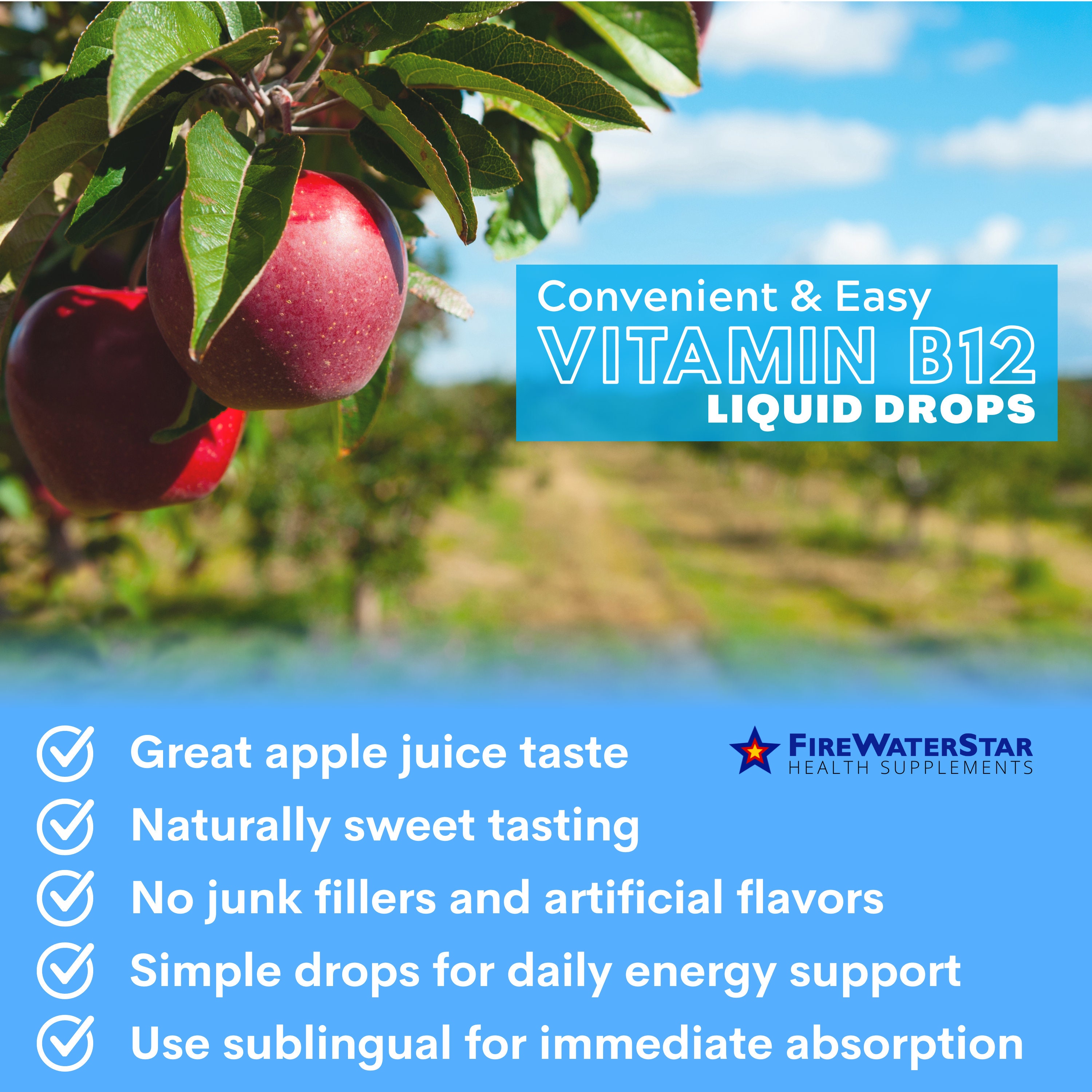 Vitamin B12 Sublingual Liquid Drops 99 Pure Methylcobalamin Adjustable