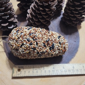 May include: A brown, oval-shaped bird feeder filled with a variety of birdseed, including sunflower seeds, millet, and black oil sunflower seeds. The feeder is made of a mesh material and is tied with twine.