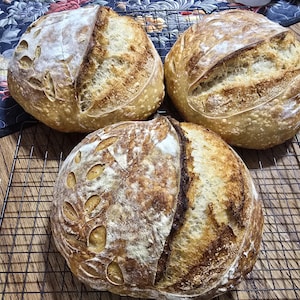 May include: Three round loaves of freshly baked sourdough bread on a black wire rack. The crusts are golden brown with decorative scoring. The bread sits on a wooden surface, suggesting a bakery or home kitchen setting.