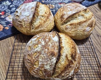 Pan artesanal de masa madre: natural, cheddar jalapeño, piña habanero, parmesano romero ajo.