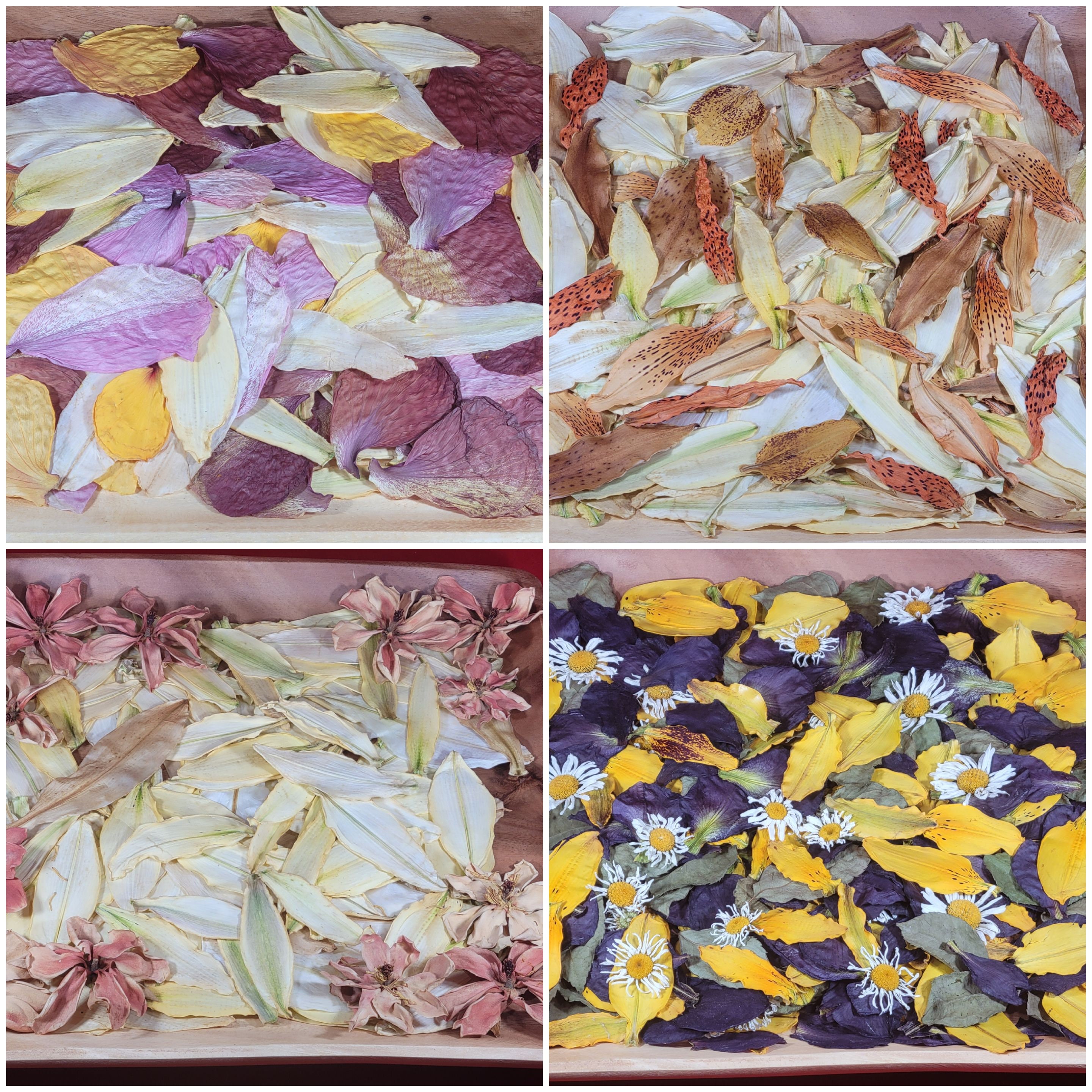 Dried Flowers & Petals Lily Hibiscus Magnolia Daisy Organic Home Grown No Chemicals Or Preservatives Added Wedding Cake Decor