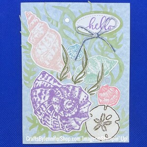 Seashell and sand dollar Thinking of You Card | Blank Card