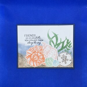 Seashell, Kelp, and Sand Dollar Friendship Card | Thinking of You Card | Blank Card