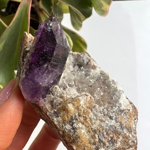 Donkerpaarse Brandberg Amethist punt in Quartz Crystal Cluster