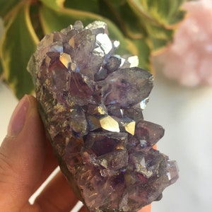 Aura Amethyst Cluster, Aura Amethyst, Angel Aura Amethyst, Natural Amethyst, Angel Aura Crystal, Rainbow Aura Amethyst, Aura Crystal