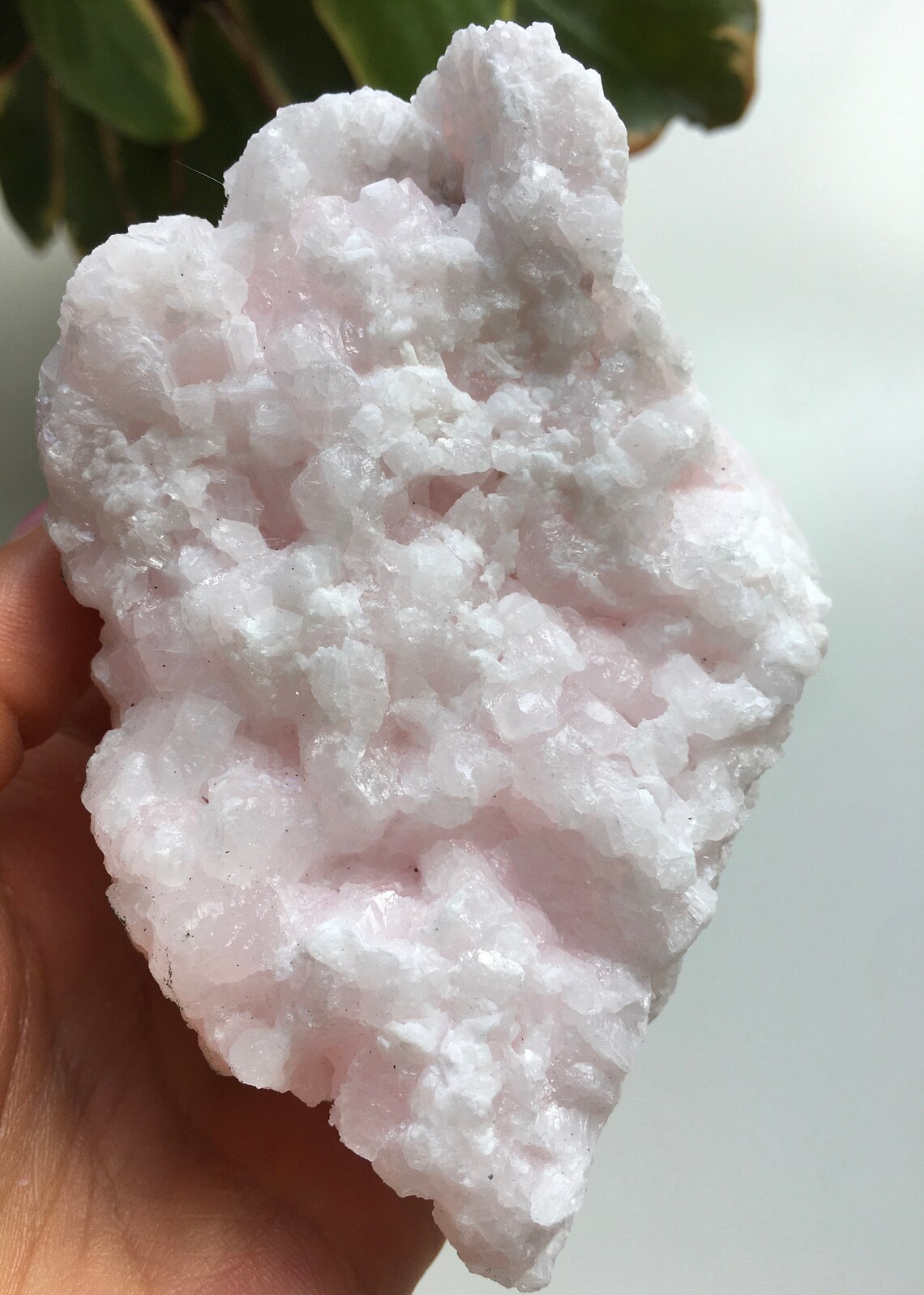 Raw Pink Mangano Calcite Cluster Pink Mangano Calcite Pink | Etsy