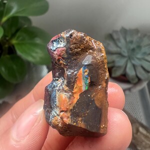 Natürlicher australischer Boulder Opal, unbehandelter Heilkristall