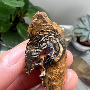 Natural Australian Boulder Opal Specimen, Untreated Healing Crystal