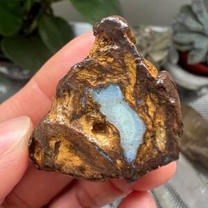 Natürlicher australischer Boulder Opal, unbehandelter Heilkristall