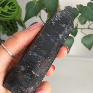 Firework Point, Astrophyllite Point, Firework, Astrophyllite
