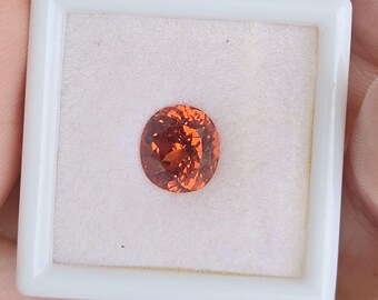 Ovale 7,97 x 7,21 mm Grenat spessartine naturel/Spessartite 2,61 cts forme ovale coupe portugaise VVS couleur orange rouge pierres précieuses en vrac