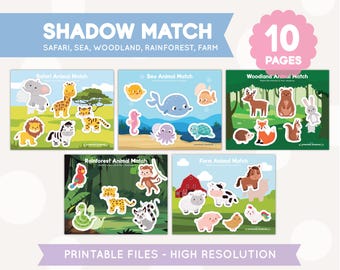 Animal Shadow Match, Toddler Busy Book, Homeschool Preschool, Morning Work, Learning Binder, Quiet Book, PreK Workbook, 3 Year Old, Digital