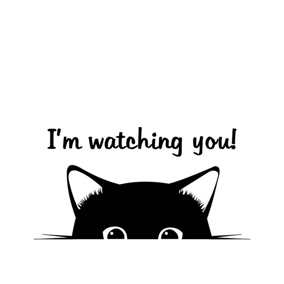 I M Watching You Cute Sat Kitty Face Svg Cute Etsy