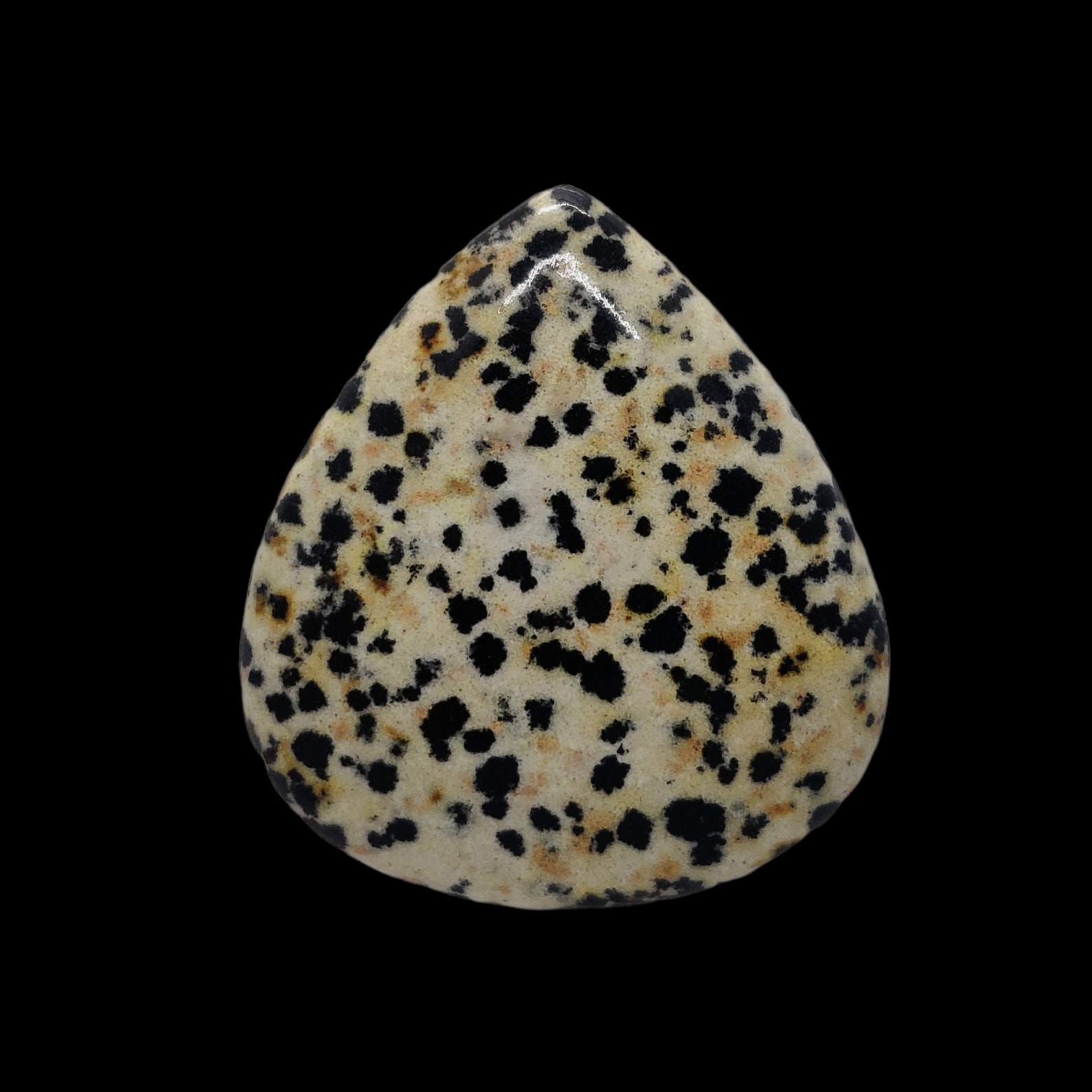 Natural Dalmatian jasper Dalmatian Jasper Cabochon Etsy