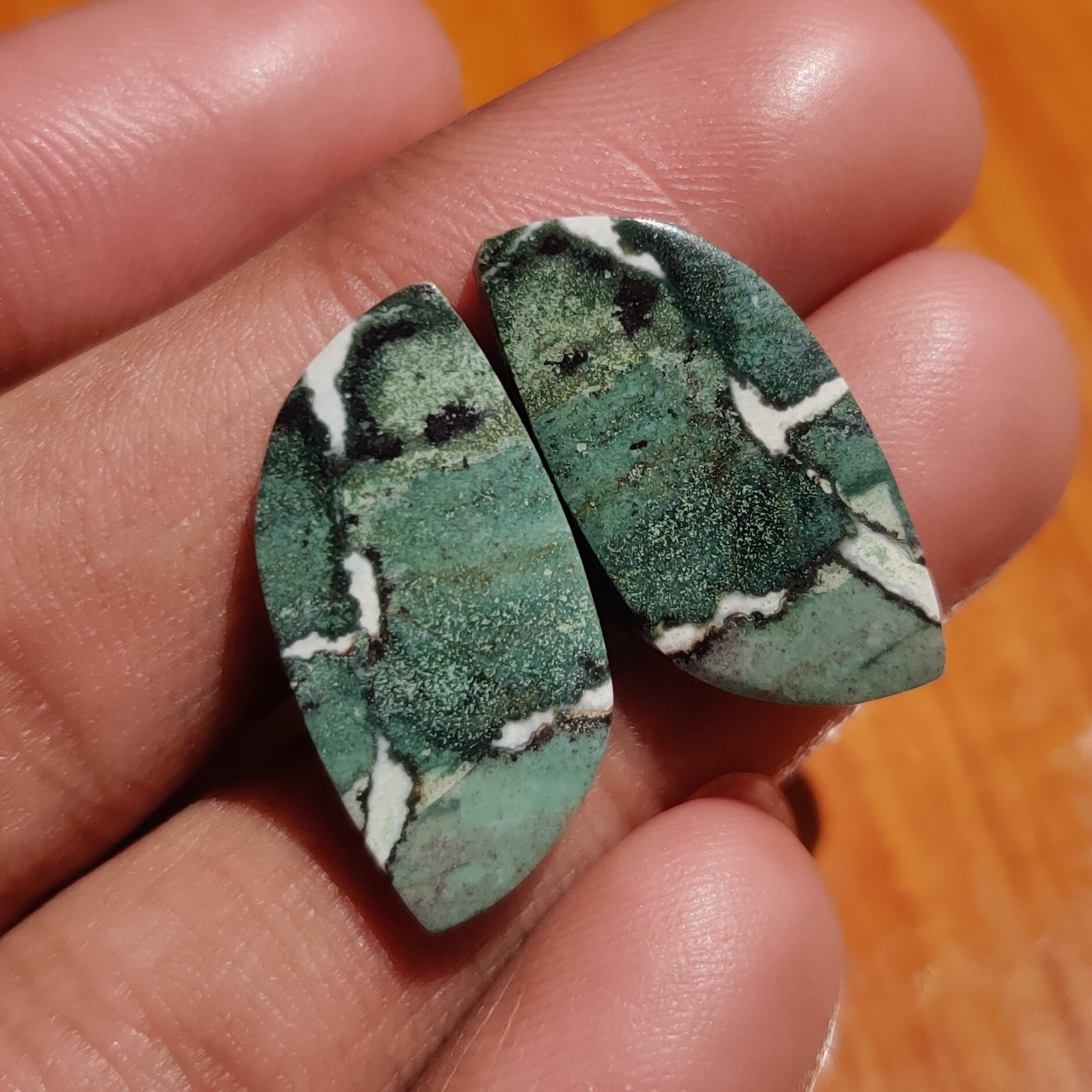 Natural Green Zebra jasper cabochon Green zebra jasper pair | Etsy