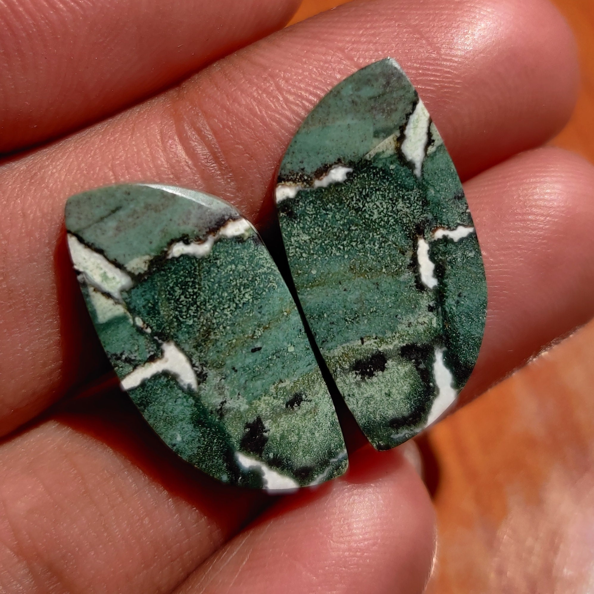Natural Green Zebra jasper cabochon Green zebra jasper pair Etsy