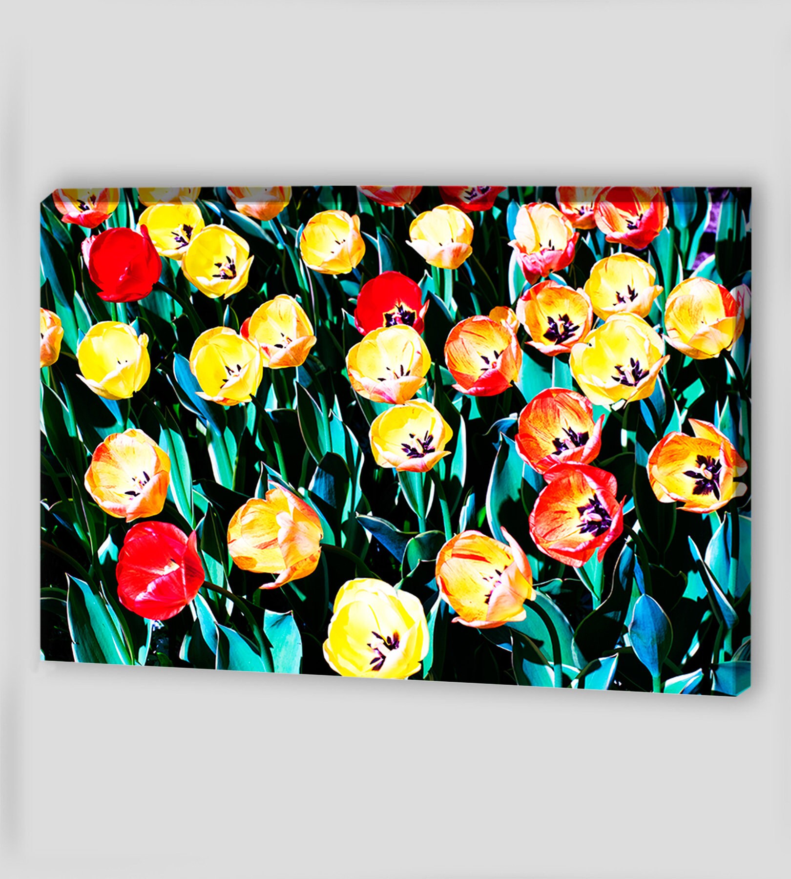 Tulip Canvas Art Abstract Painting Tulip Canvas Wall Art Tulip Etsy