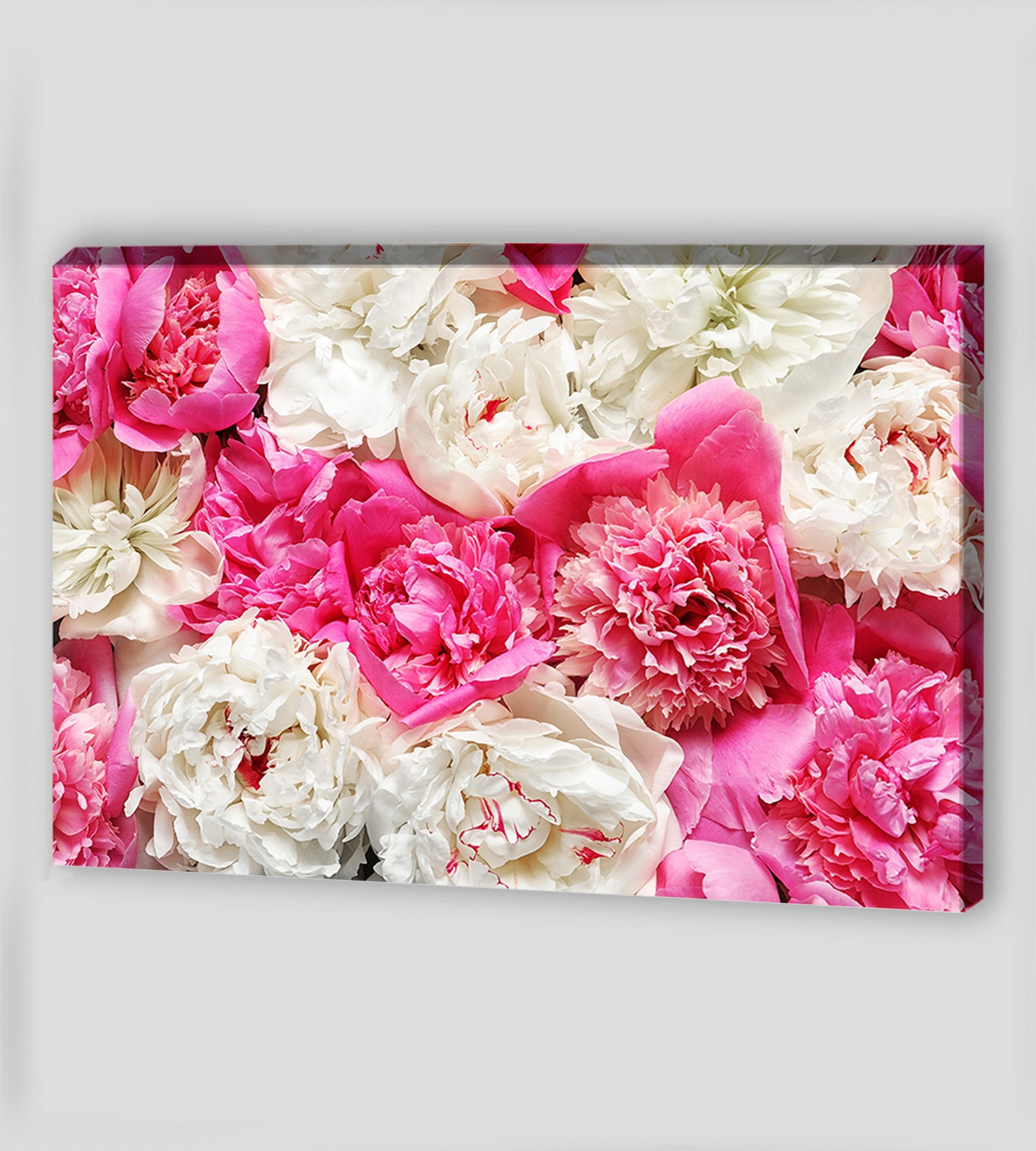 Canvas Art Peony Canvas Wall Art Peony Wall Art Peony Wall Etsy