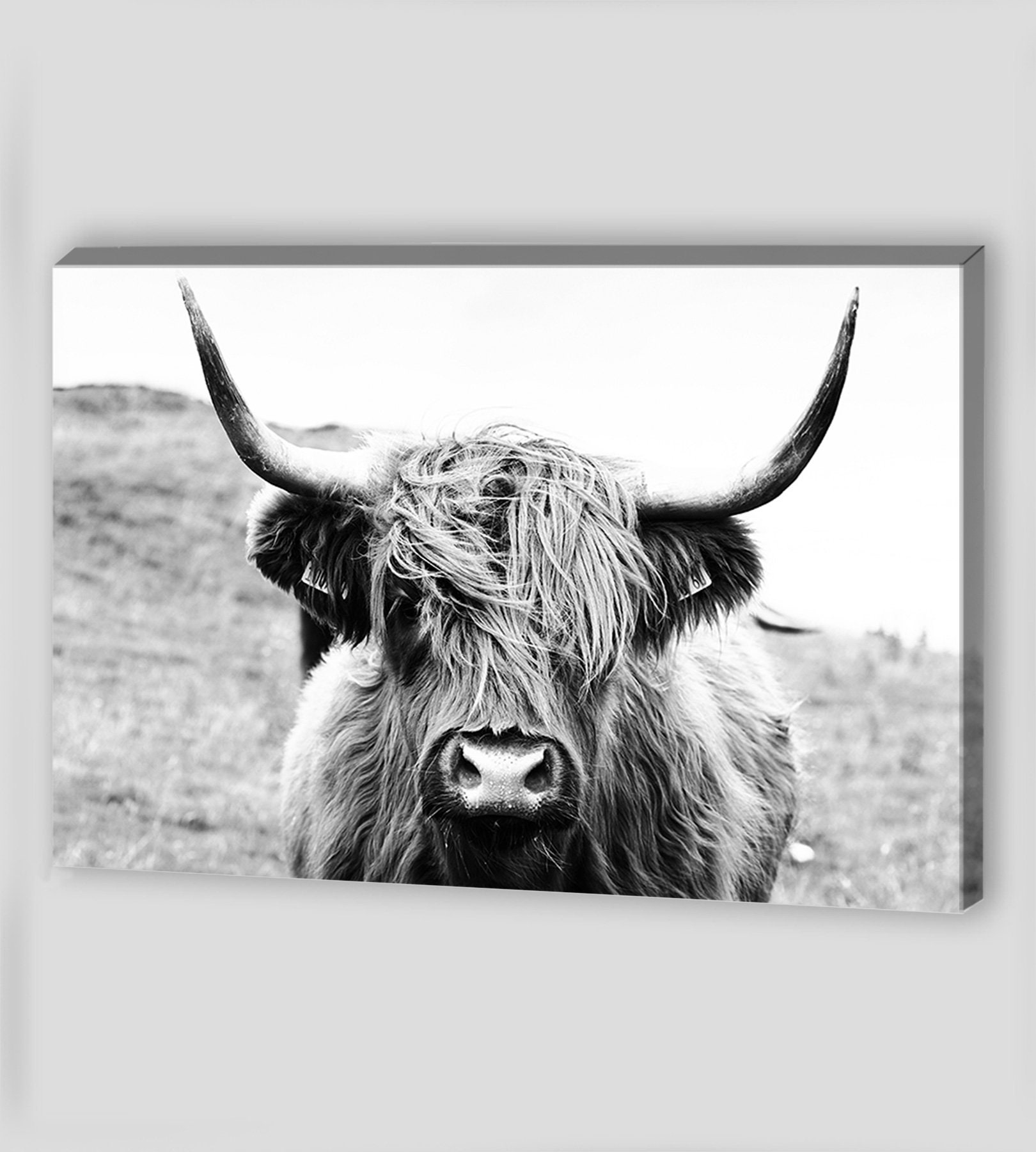 Highland Cow Wall Art Highland Cow Canvas Wall Art Highland Etsy