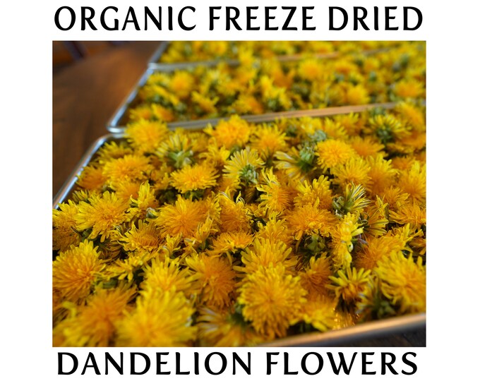Freeze Dried Dandelion Flower, Organically Grown Dandelion Flowers