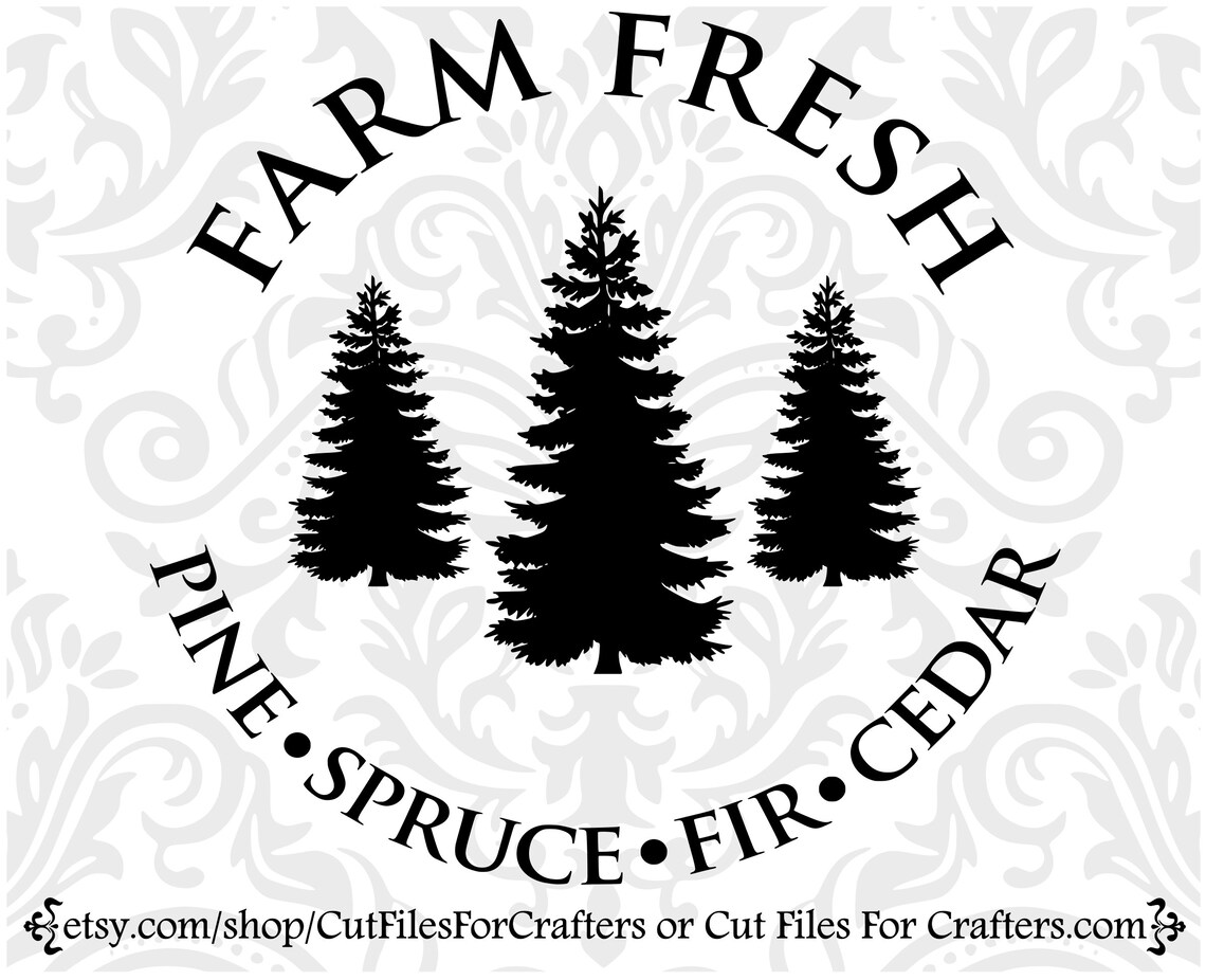 Farm Fresh Christmas Trees Svg Pine Tree Svg Spruce Tree Etsy